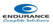 Endurance Logo